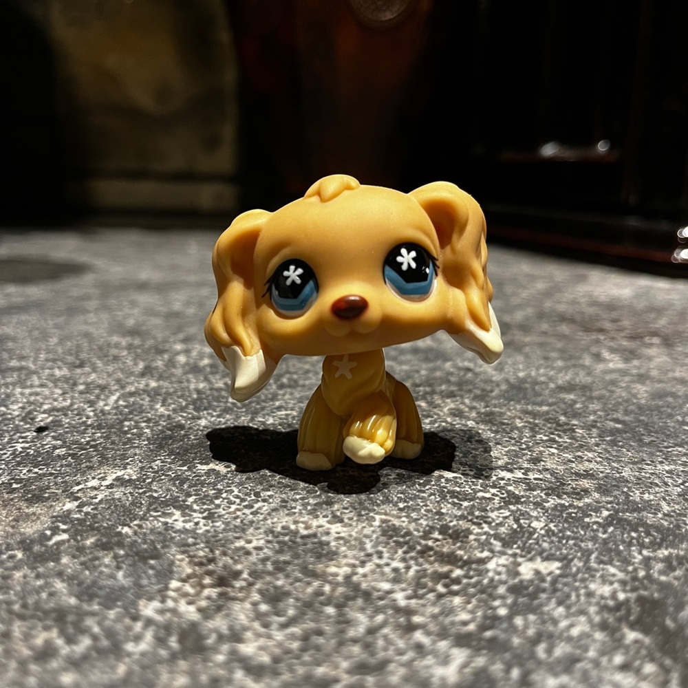 littlest pet shop #748 cocker spaniel🐶